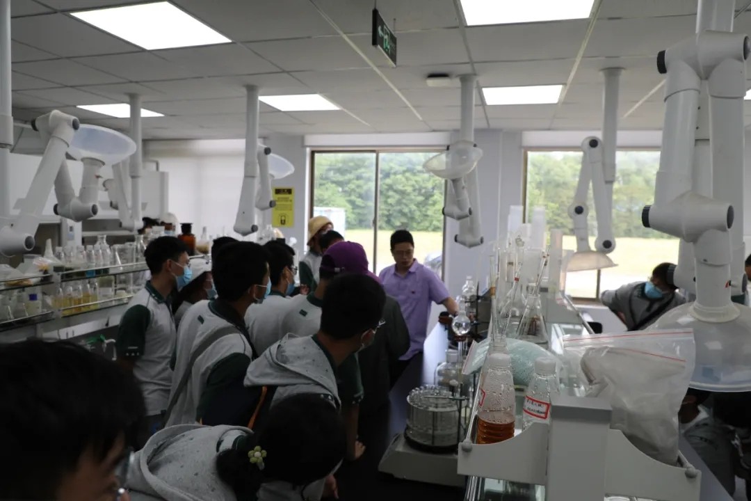 2.webp.jpg 2.webp.jpg